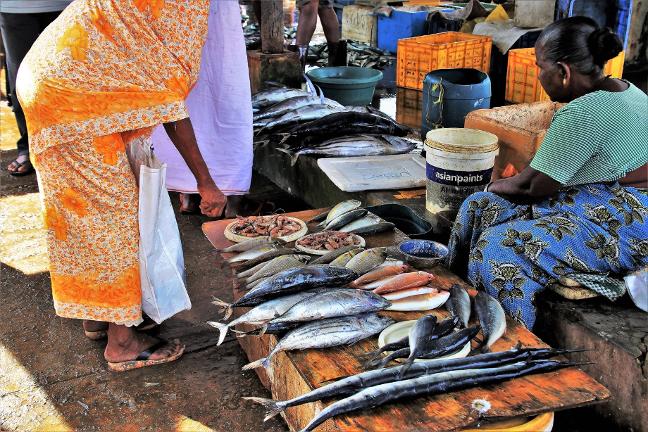 Women selling fish at an open - air market (location unknown)