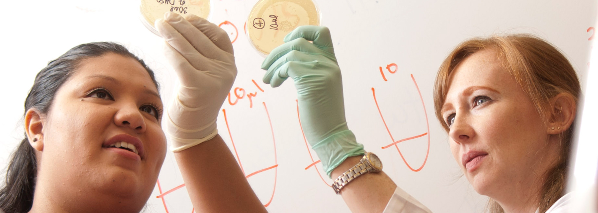 photo of faculty and student working in lab