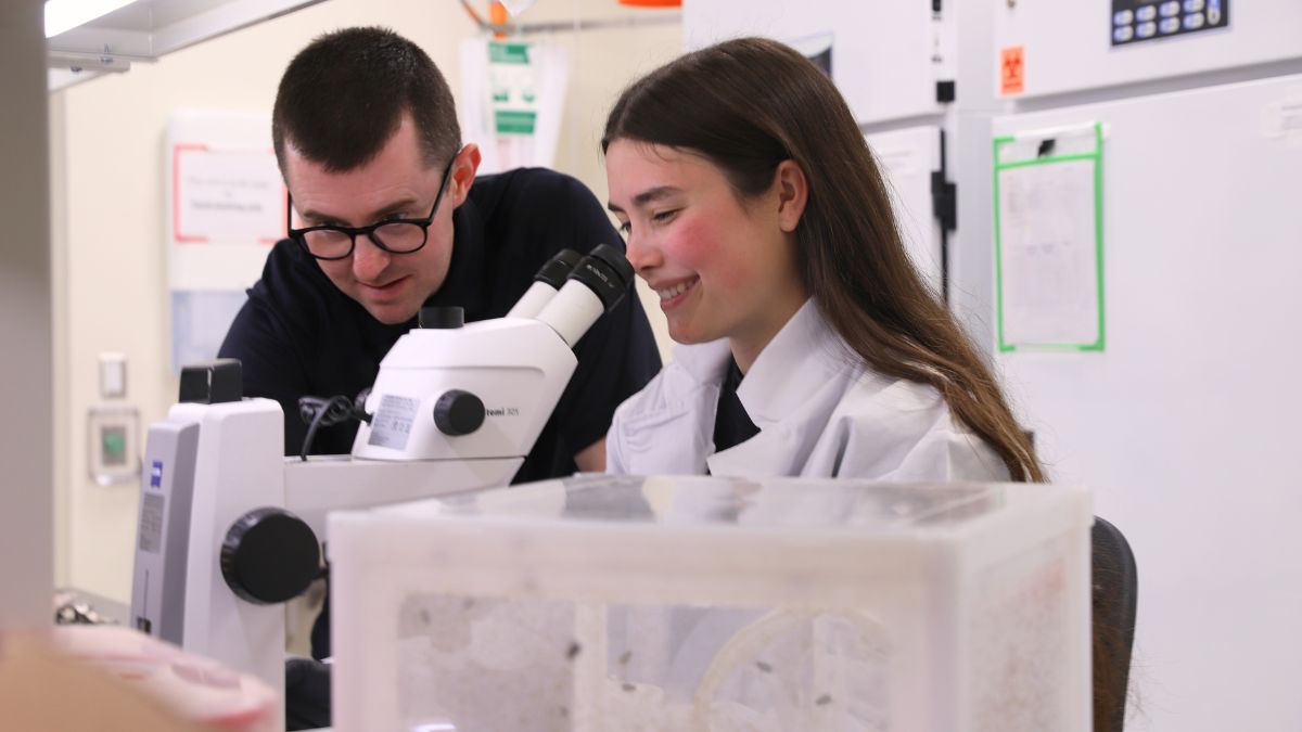 Two people using a microscope in a laboratory.