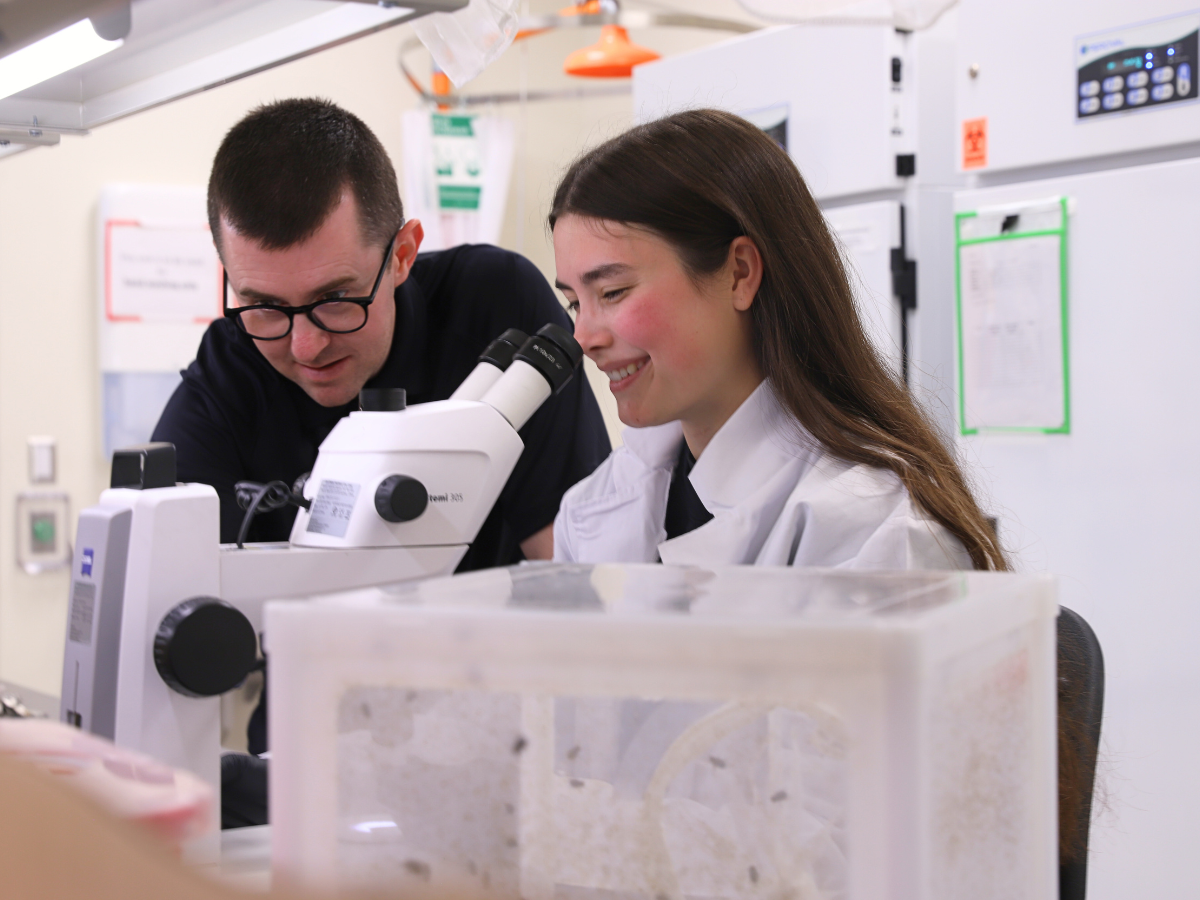 Two people in a lab examining a microscope.
